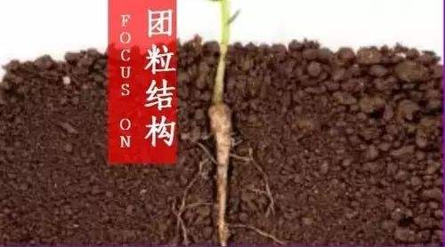 土壤團粒結(jié)構