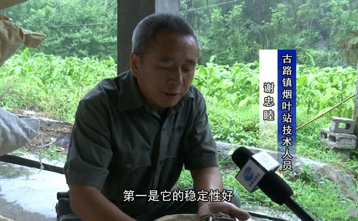 緊緊抓住木屑造粒機生物質(zhì)顆粒燃料加工場地建設(shè)項目落地的契機，找準結(jié)合點，推動共和綜合服務(wù)型煙農(nóng)專業(yè)合作社與生物質(zhì)顆粒燃料加工廠的緊密合作.jpg